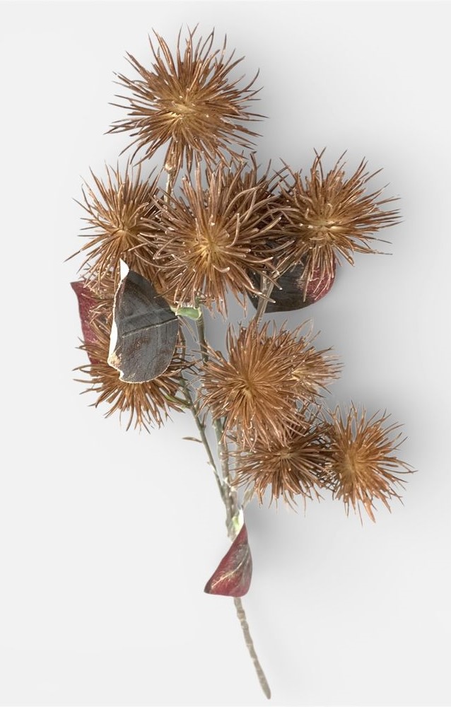 Ветвь декоративная Эхинопс, 60см коричневая Unison (c30517-1)