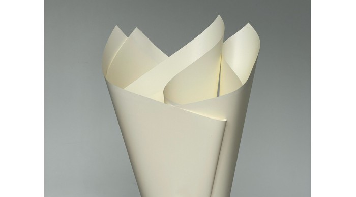 Пленка матовая "Матовый шелк" 60 мкр, 58 х 58см  20 листов (j00649 -242)