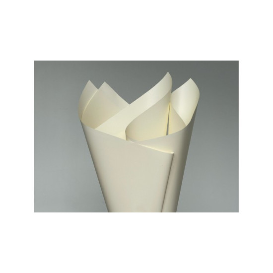 Пленка матовая "Матовый шелк" 60 мкр, 58 х 58см  20 листов (j00649 -242)