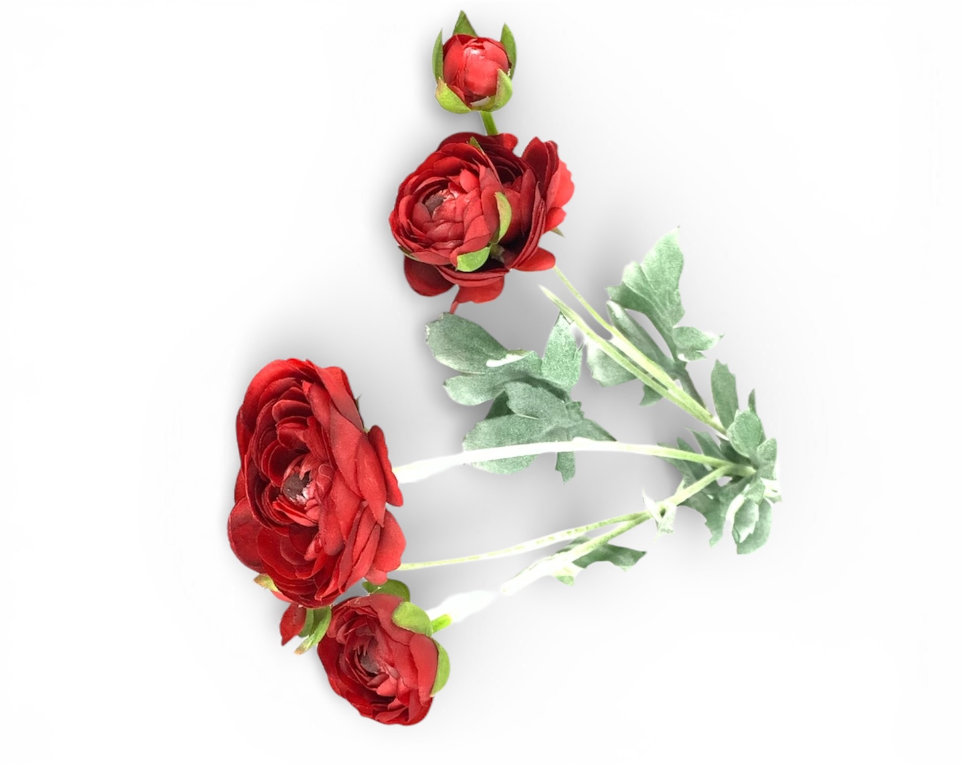 Ветка ранункулюса азийского, 50 см, красная Unison (c30555)