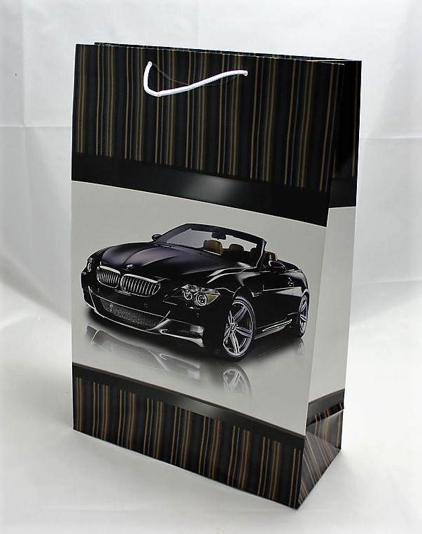 Пакет подарочный 170гр, 30 х 40 х 17см Unison (PVM304017M)