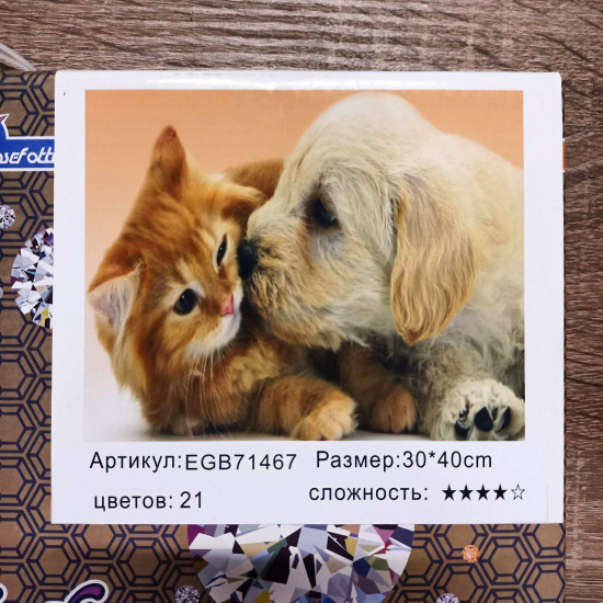 Алмазна мозаїка за номерами 30*40см "Дружба"  карт уп. (холст на раме) (71467 GB)
