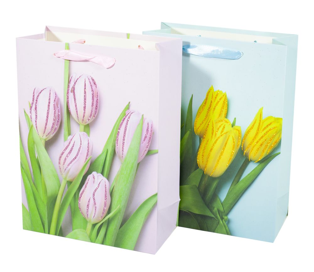 Пакет подарунковий 210гр, 18 x 23 x 10см Випадковий Unison (NO-00014-4S)