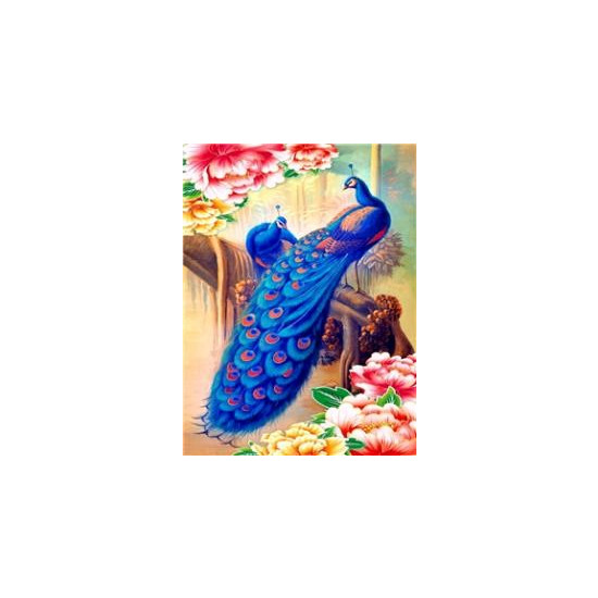 Картина по номерам "Жарптица" 40*50см,крас.-акрил,кисть-3шт. (8103)