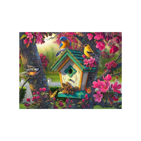 Картина за номерами "Шпаківня" 40 * 50см, крас.-акрил, кисть-3шт. (RA3565)