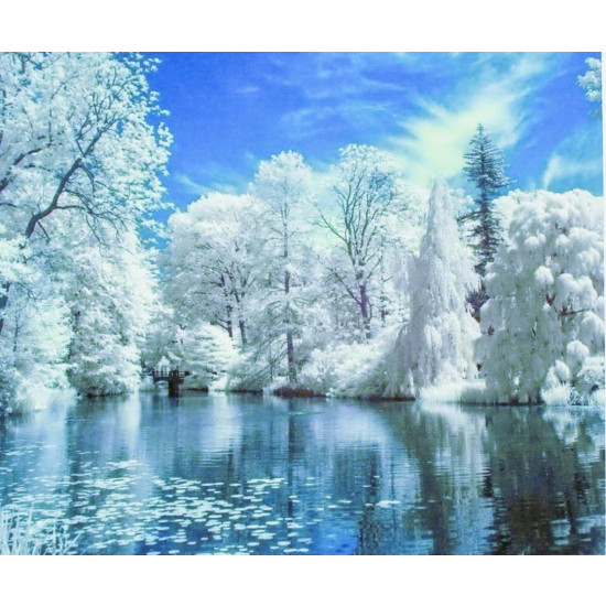 Картина за номерами "Зима" 40 * 50см, крас.-акрил, кисть-3шт. (5229)