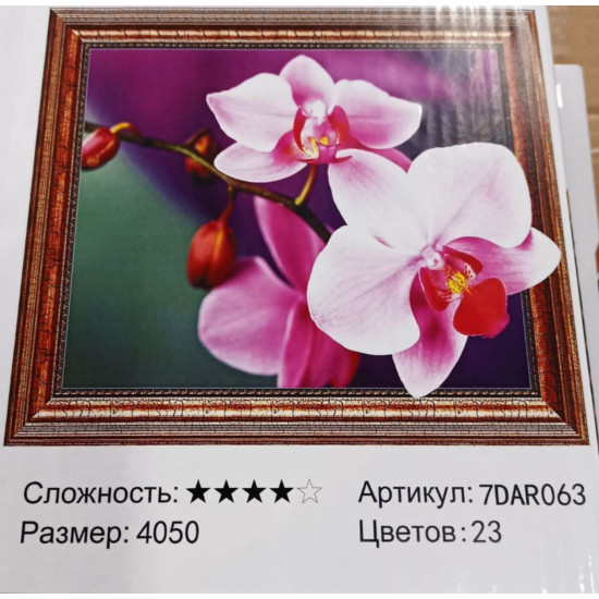 Алмазная мозаика 5D по номерам 40 х 50см "Орхидеи" Разноцветный Unison (7DAR063)