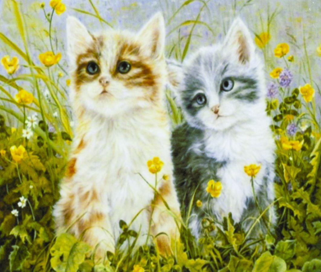 Картина по номерам "Котята в траве" 40*50см,крас.-акрил,кисть-3шт. (9414)
