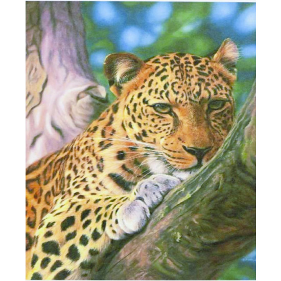 Картина по номерам "Леопард" 40*50см,крас.-акрил,кисть-3шт.(1*30) (3134)