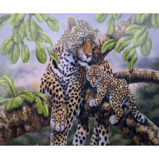 Картина по номерам 30*40см "Леопарды" OPP (холст на раме краск. кисти. ) (1487EKTL_O)