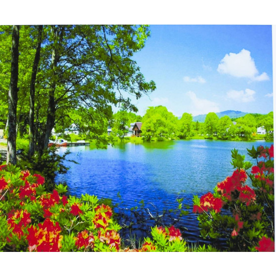 Картина по номерам "Лесное озеро" 40*50см,крас.-акрил,кисть-3шт.(1*30) (3393)