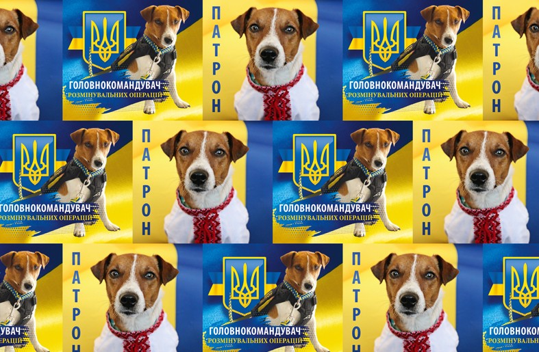 Мелованная бумага -Пес Патрон  , Unison,   PVM10-237 Разноцветный Unison (PVM10-237)