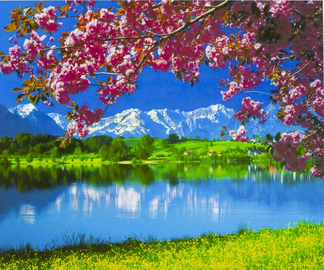 Картина за номерами 40 х 50см "Весна на озері" Різнокольоровий Unison (3307RA_B)