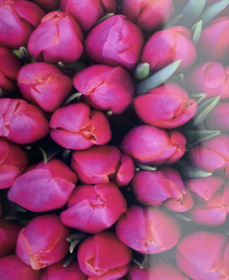 Картина за номерами 30 х 40см "Фіолетові тюльпани" OPP Різнокольоровий Unison (1023EKTL_O)