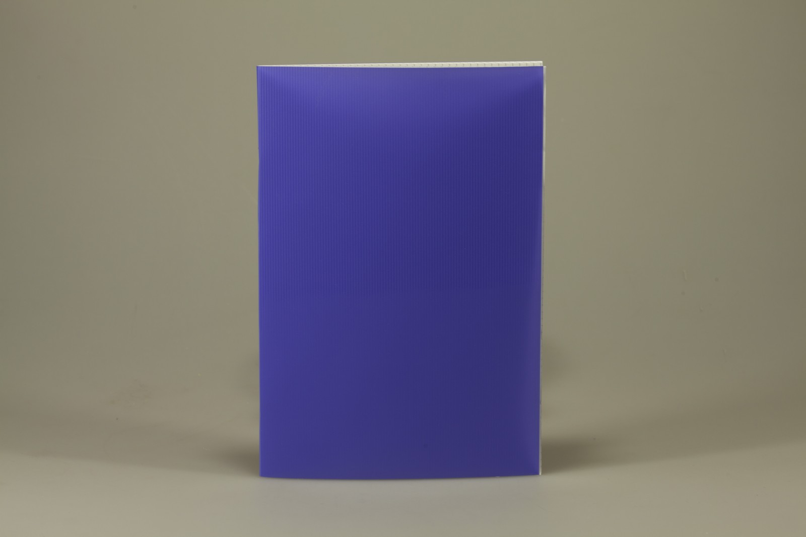 Зошит А4 на скобі 60 аркушів клітинка, пластикова обкладинка, 4 кольори Ofort (4A060К-П01)