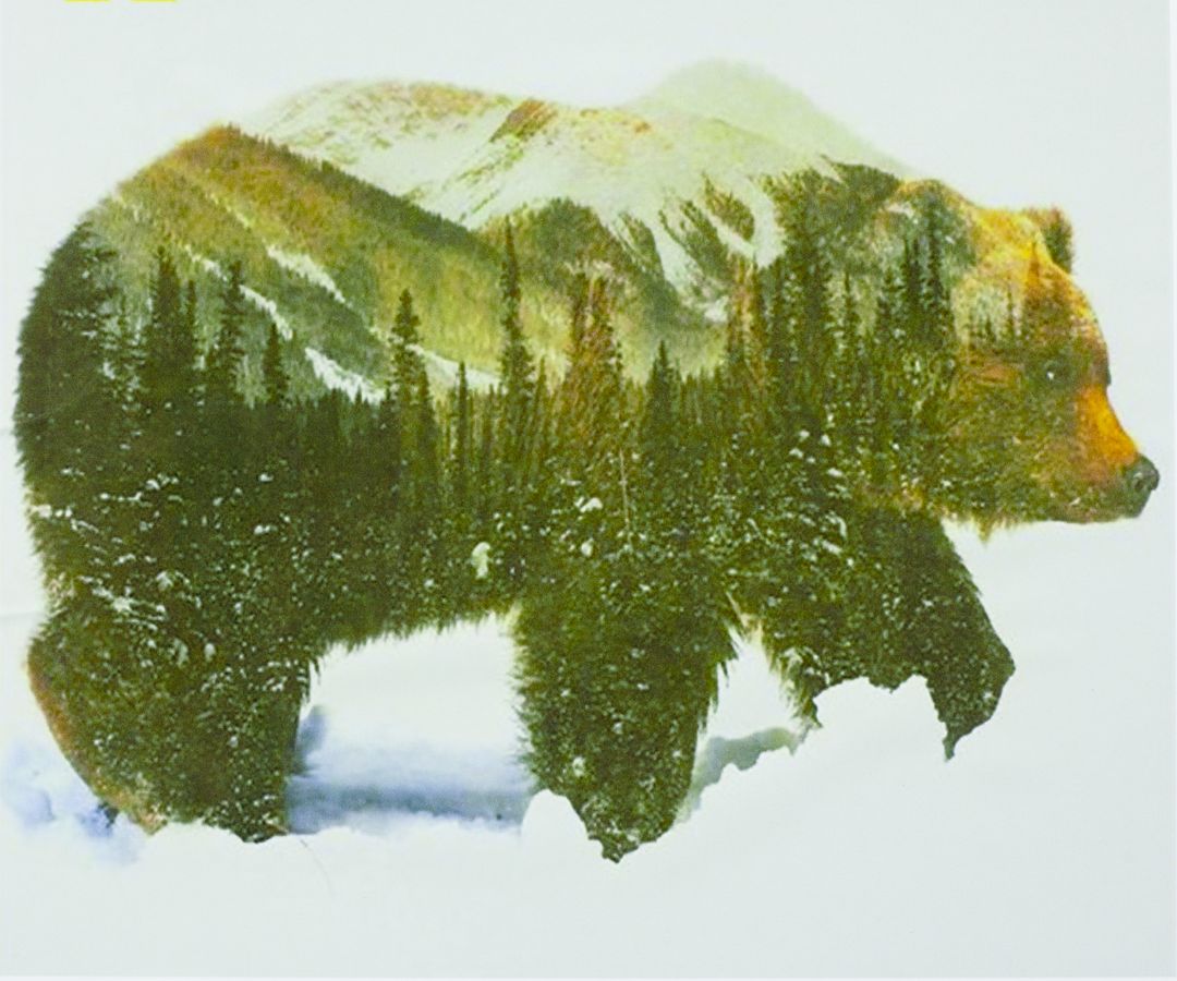 Картина за номерами 40 х 50см "Ведмідь" Різнокольоровий Unison (9408)